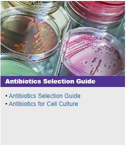 Antibiotics Selection Guide